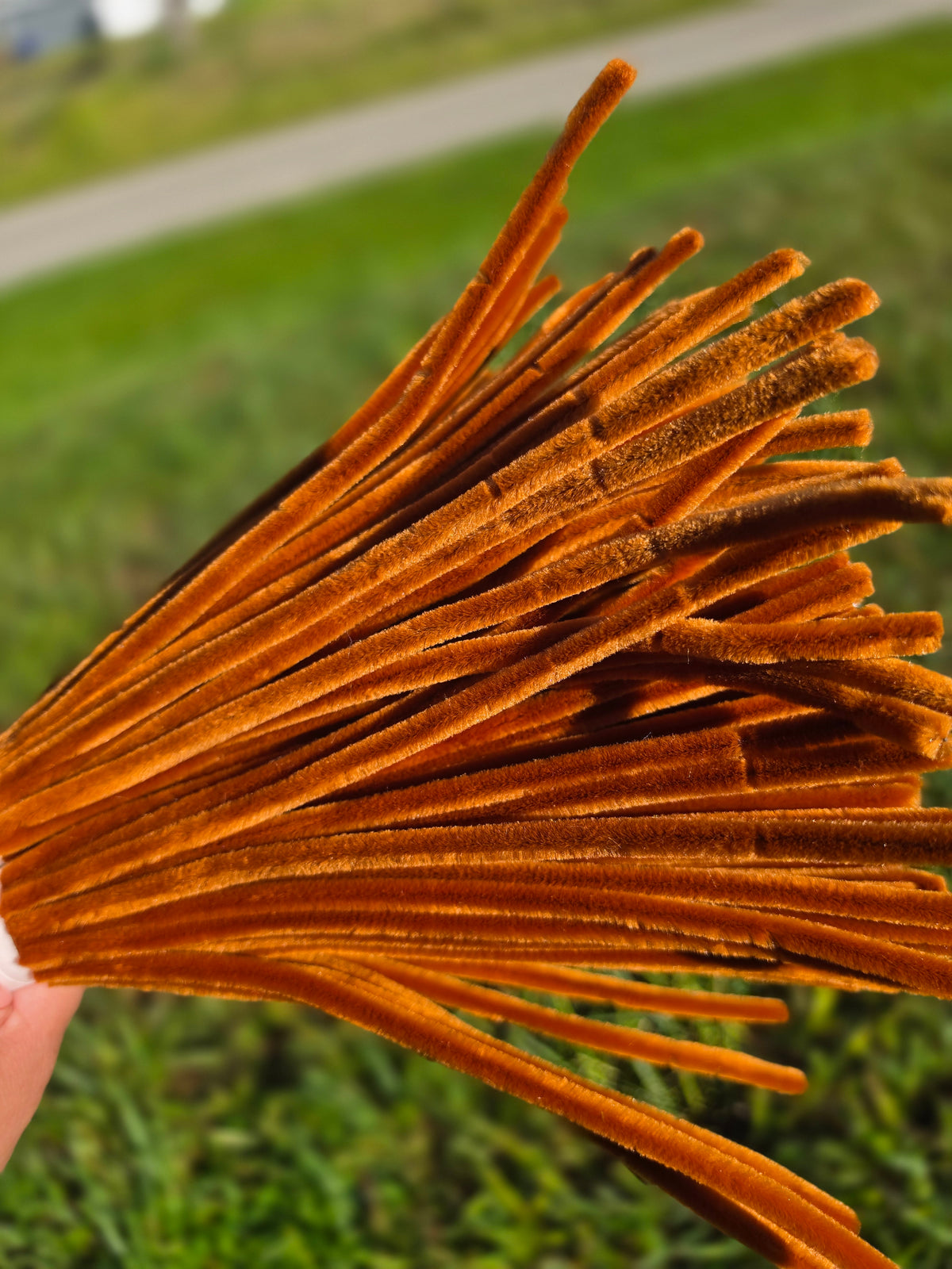 Premium Chenille Pipe Cleaners – 100 Pieces | 30 cm (8 mm)