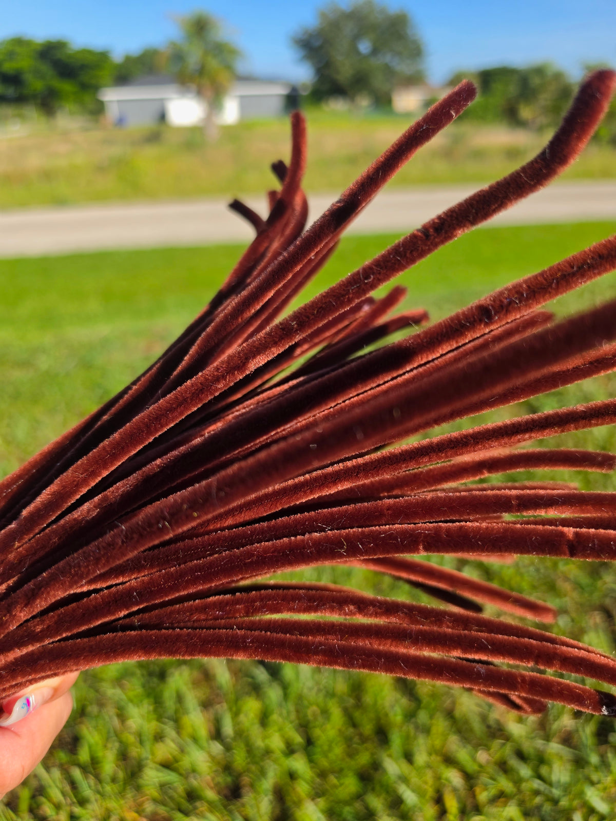 Premium Chenille Pipe Cleaners – 100 Pieces | 30 cm (8 mm)