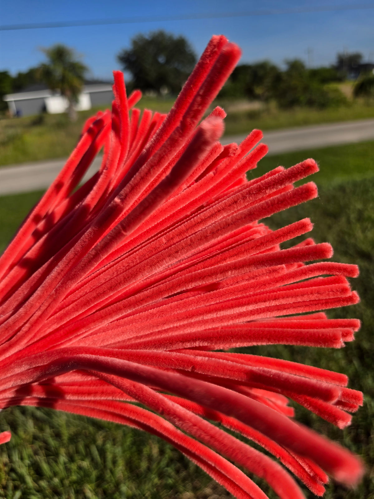 Premium Chenille Pipe Cleaners – 100 Pieces | 30 cm (8 mm)