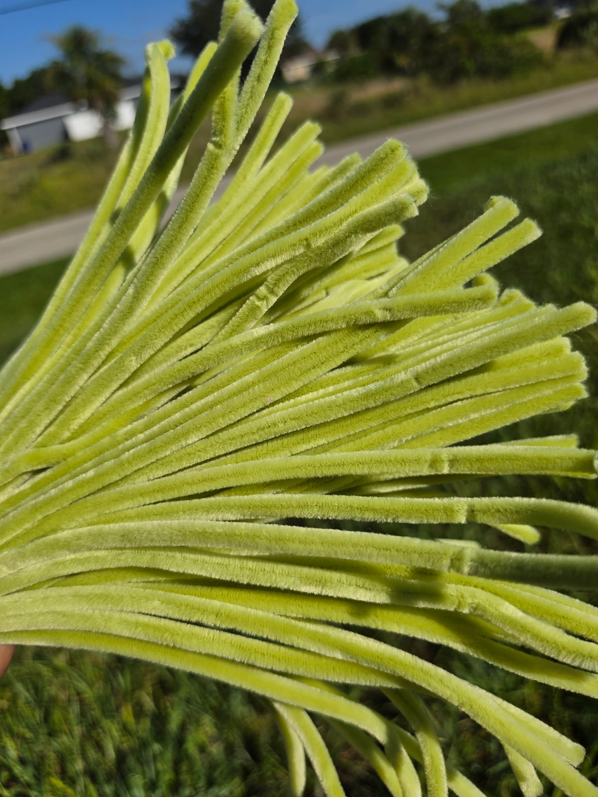 Premium Chenille Pipe Cleaners – 100 Pieces | 30 cm (8 mm)