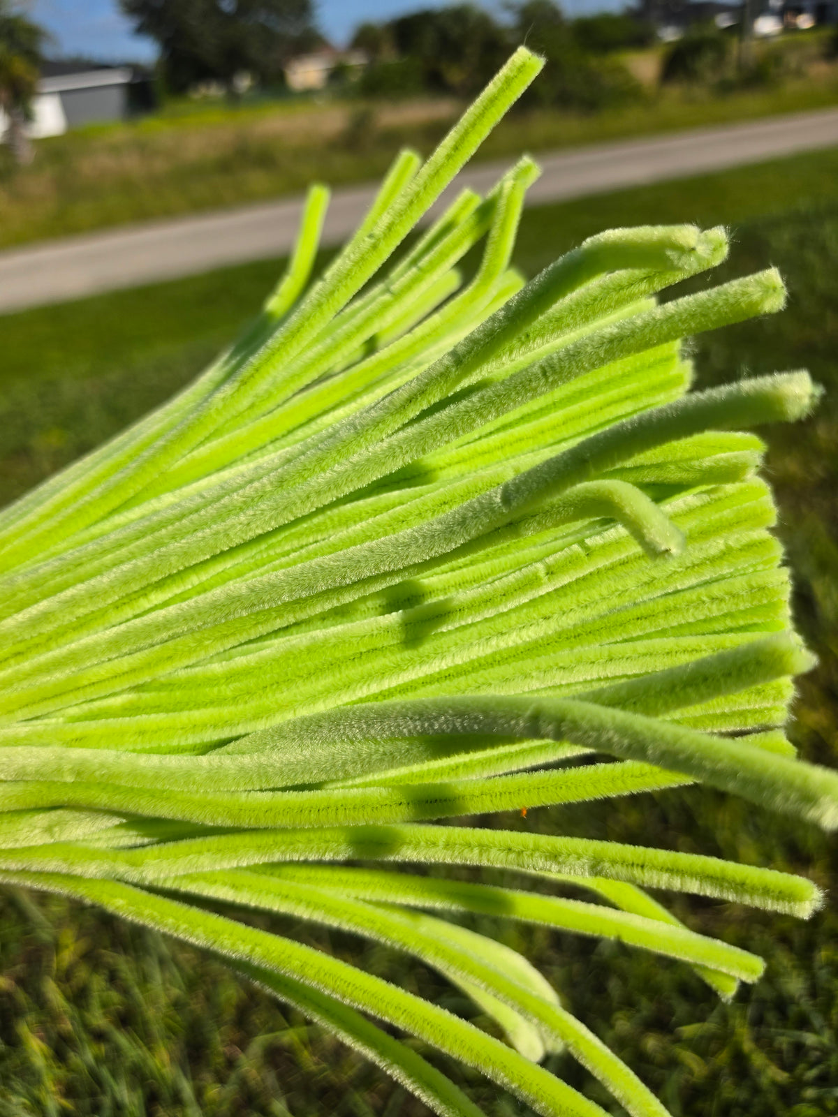 Premium Chenille Pipe Cleaners – 100 Pieces | 30 cm (8 mm)