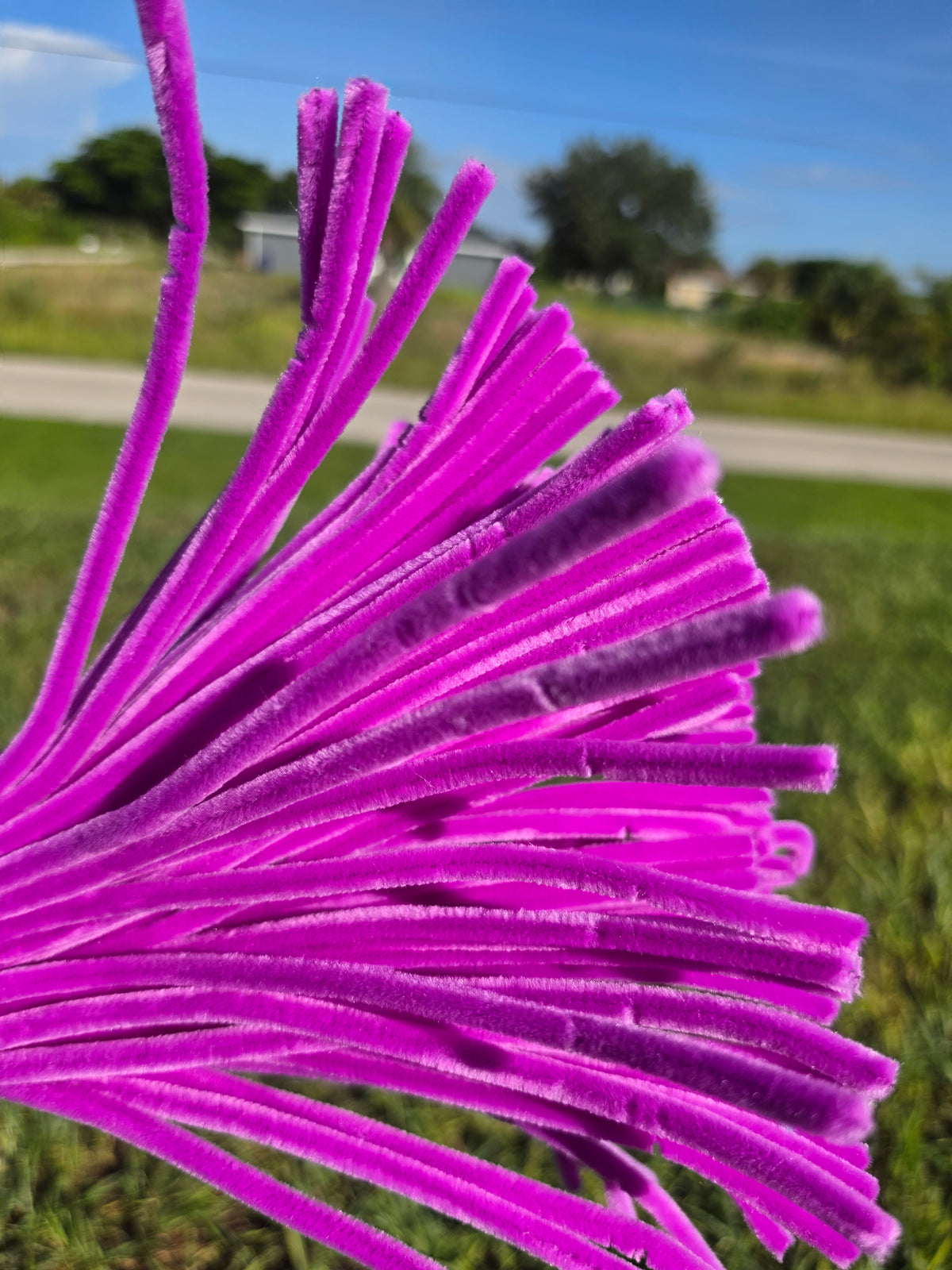 Premium Chenille Pipe Cleaners – 100 Pieces | 30 cm (8 mm)