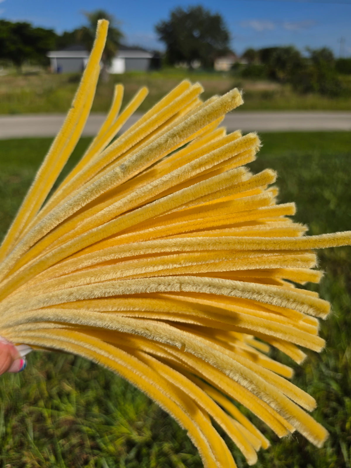 Premium Chenille Pipe Cleaners – 100 Pieces | 30 cm (8 mm)