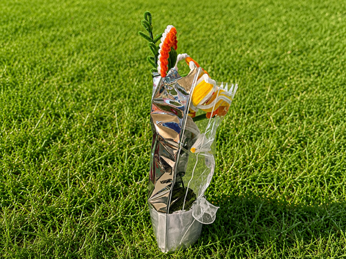 Sunny Bloom Handmade Pipe Cleaner Bouquet